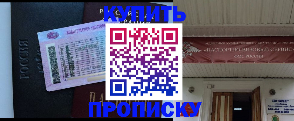 временная регистрация поиск в Щёлково